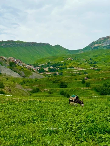 Green valley with scattered houses and cultivated plots
