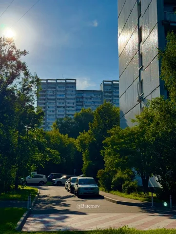 Quiet residential courtyard with trees and parked cars