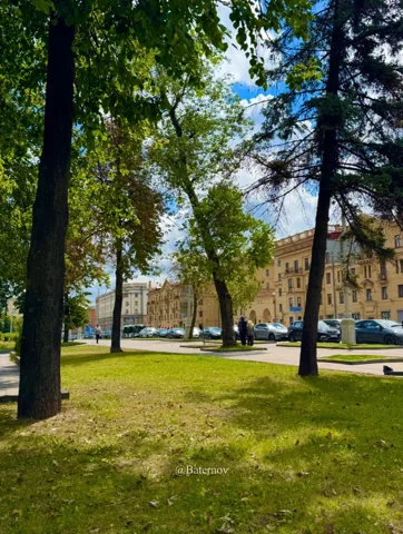 Sunlit trees beside a broad urban building