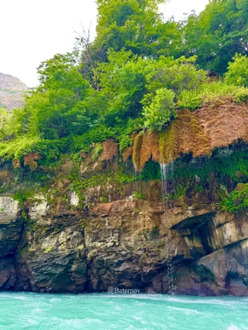 Layered coastal rock face topped with green vegetation