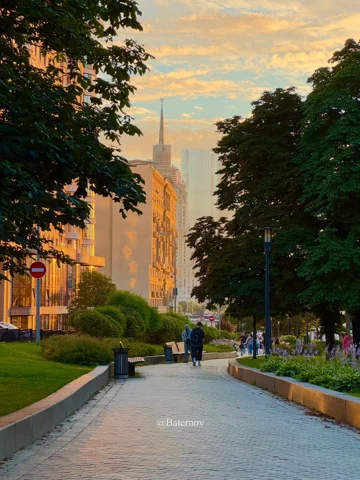 Tree-lined urban walkway in warm evening light