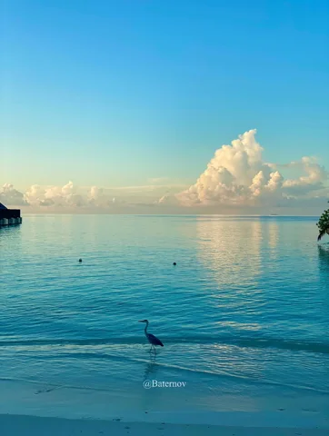 Calm shallow sea under softly lit clouds