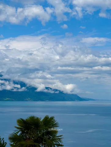 Clouds above a calm lake with a palm in the foreground