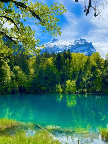 Turquoise lake framed by leafy trees