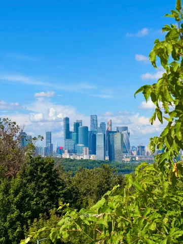 Distant skyscrapers above a leafy park