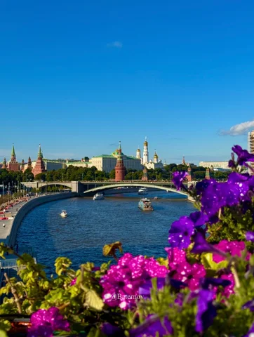 Flowers overlooking a river, bridge and historic skyline