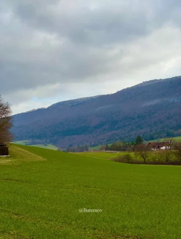 Open pasture beneath a long wooded mountain ridge