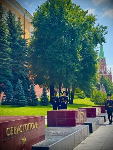 Trees and memorial blocks along an urban walkway