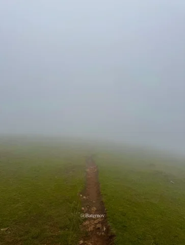 Narrow path disappearing across a foggy meadow