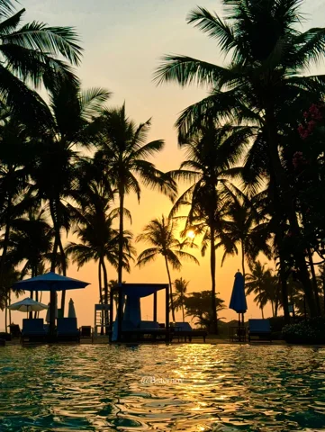 Palm silhouettes around a pool at sunset