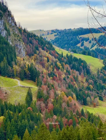 Patchwork of autumn woodland across a hillside