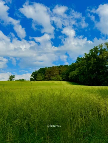 Green field under scattered white clouds