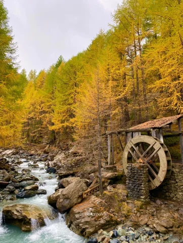 Waterwheel beside a rocky stream and golden autumn trees