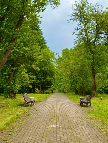 Straight park walkway lined with benches and trees