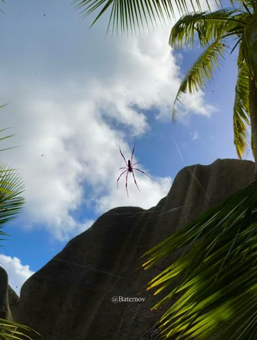 Palm fronds framing a dark rock formation