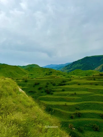 Terraced green fields beneath rolling mountain slopes