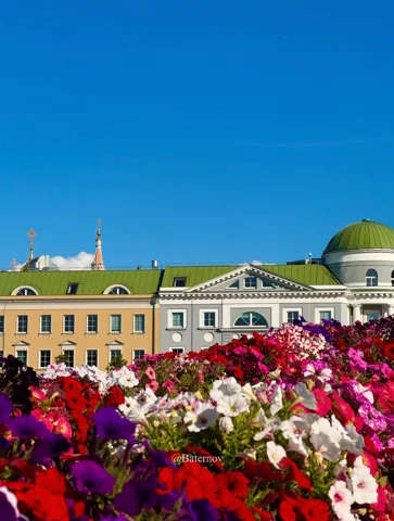 Colourful flower bed in front of a pale civic building