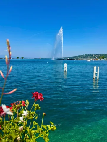 Flowers beside a lake with a tall fountain in the distance