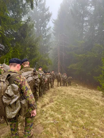 Line of soldiers beside a misty forest