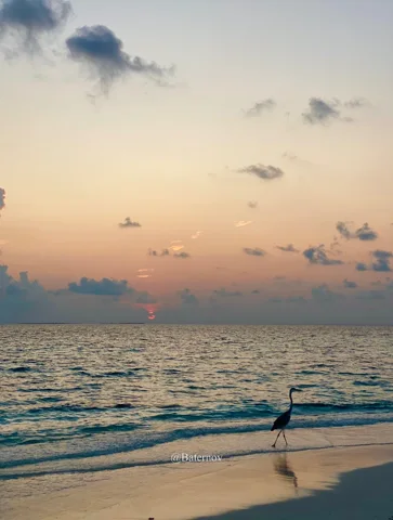 Person walking along the shoreline at dusk