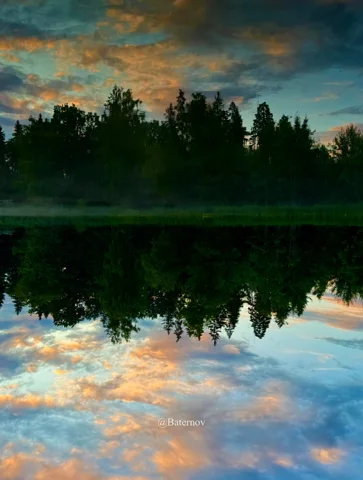 Trees and evening clouds reflected in still water