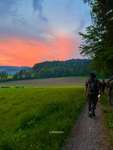 Soldiers walking beside a field under a pink sky