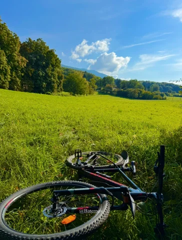 Bicycle resting beside a green field
