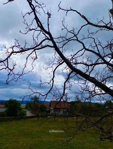 Bare branches framing a house beneath grey clouds